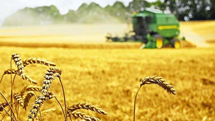 AGRIDUR®