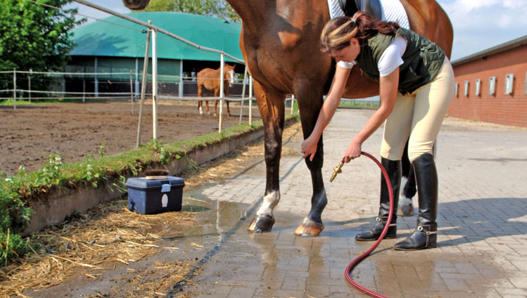 fluid-handling-industry-hose-water-horse