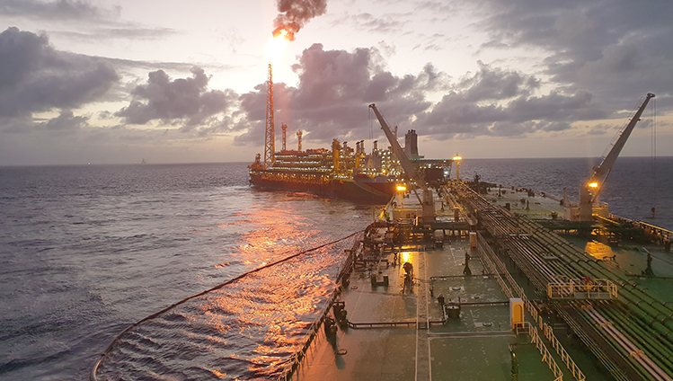 oil-gas-marine-hoses-hoses-for-fpso-tandem-offloading-service-master-image-3