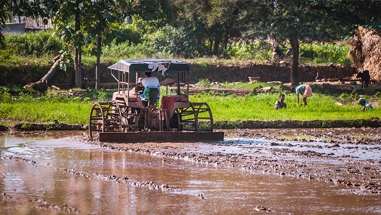 Knöcheltiefes Wasser ist auf den Feldern Indiens keine Seltenheit. Das stellt auch an die Maschinen und ihre Komponenten extreme Anforderungen.