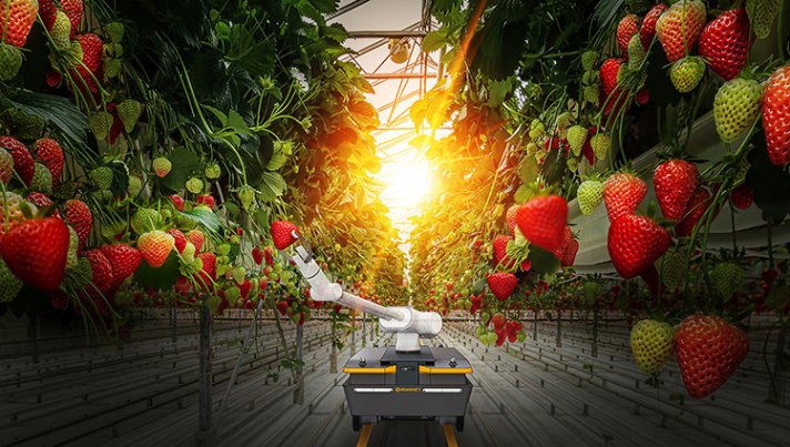 Digitale Kluft unter Landwirten