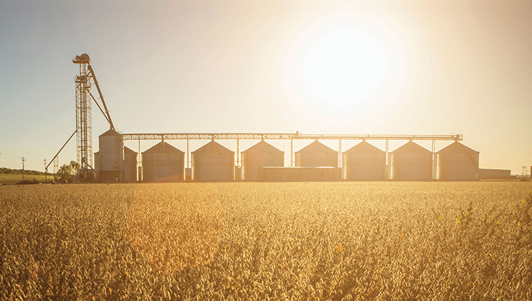 Grain handling facility