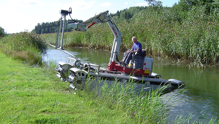 Reed cutter with TransConti conveyor belt