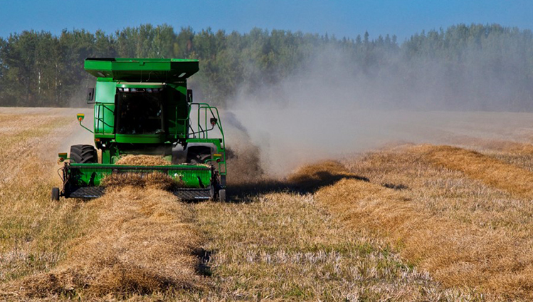 Continental windrow pick-up belt