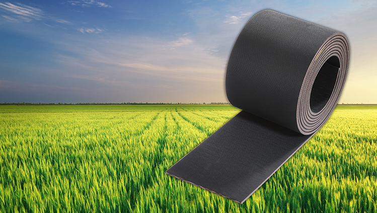 Conveyor Belts