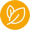 Environmental Protection