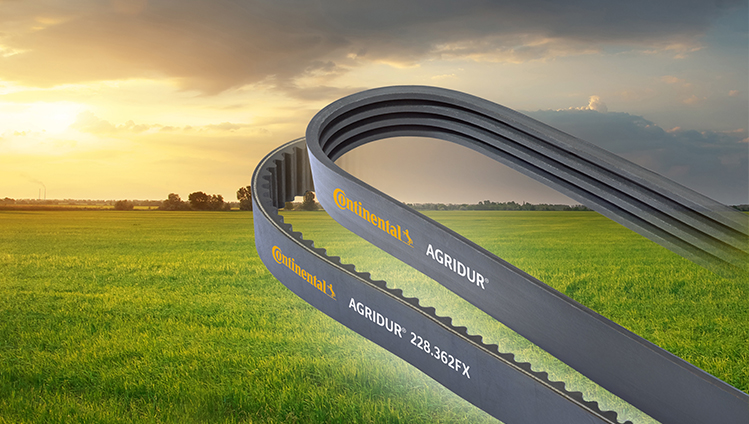 Drive Belts