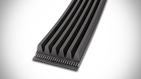 CONTI®V MULTIRIB