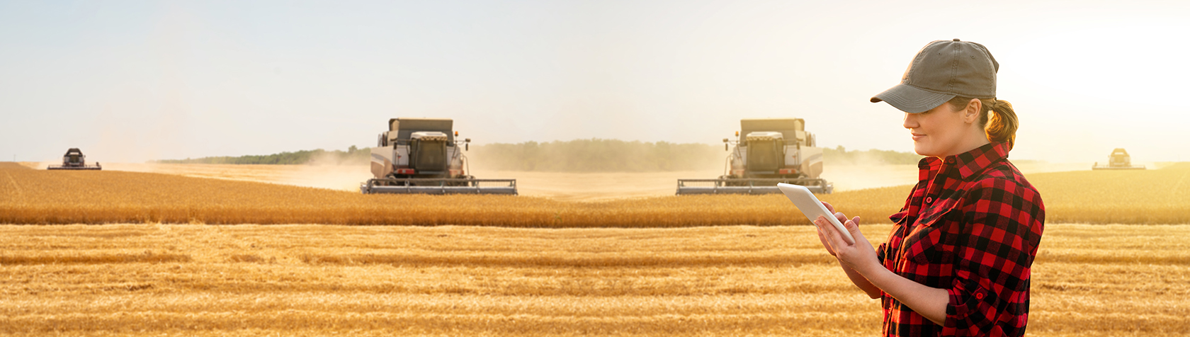 Quality You Can Rely On