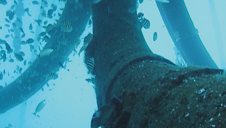 Tuyau sous-marin à carcasse unique