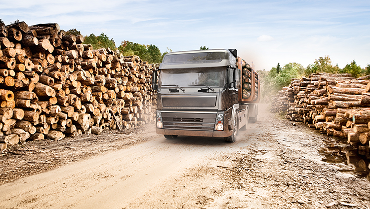 Entlüftung für VOLVO LKW Nutzfahrzeuge günstig kaufen