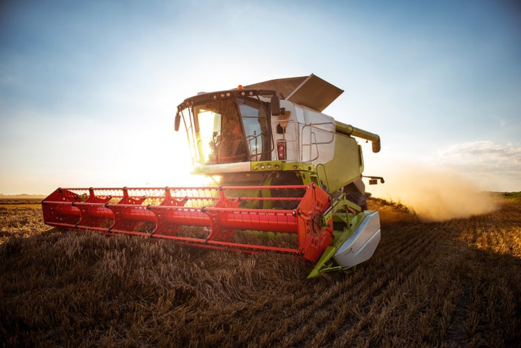 Combine harvesting the field of wheat on a sunset.