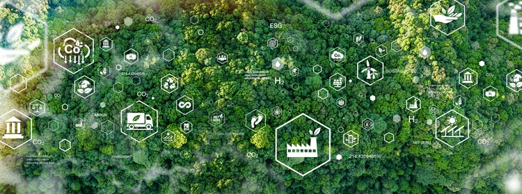 Green forest, bird's eye view of green trees in the forest. Carbon neutrality and net zero emissions concept. Sustainable green global environment.