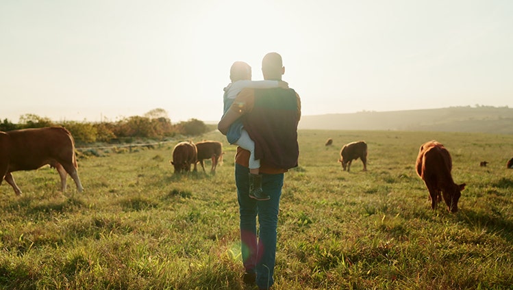 Family, farm and cattle with a girl and father walking on a field or grass meadow in the agricultural industry. Agriculture, sustainability and farming with a man farmer and daughter tending the cows; Shutterstock ID 2254692903; purchase_order: Auto; job: Vegan Campaign; client: ; other: