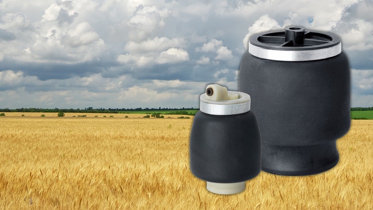 Meadow of wheat.