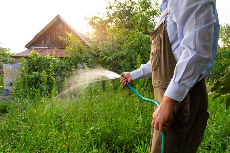Man is holding a water hose and watering the garden. Work on the house and vegetable garden, care of the territory.