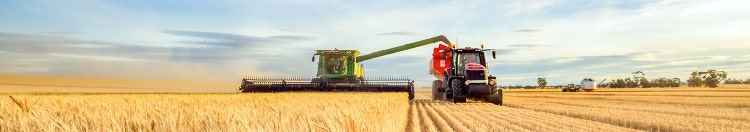 Harvesting machine approaching with the foreground of golden wheat